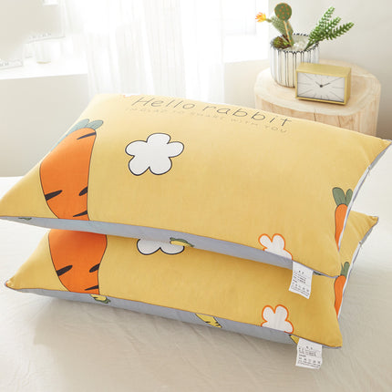 Coppia Federe Cuscino Stile Moderno