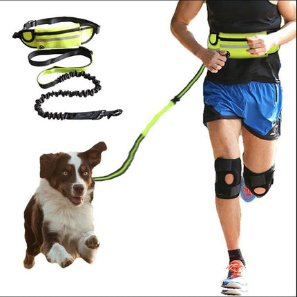 Guinzaglio Mani Libere per Cani – Cintura Running